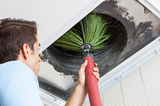 Best Residential Air Duct Cleaning  in Minot, ND